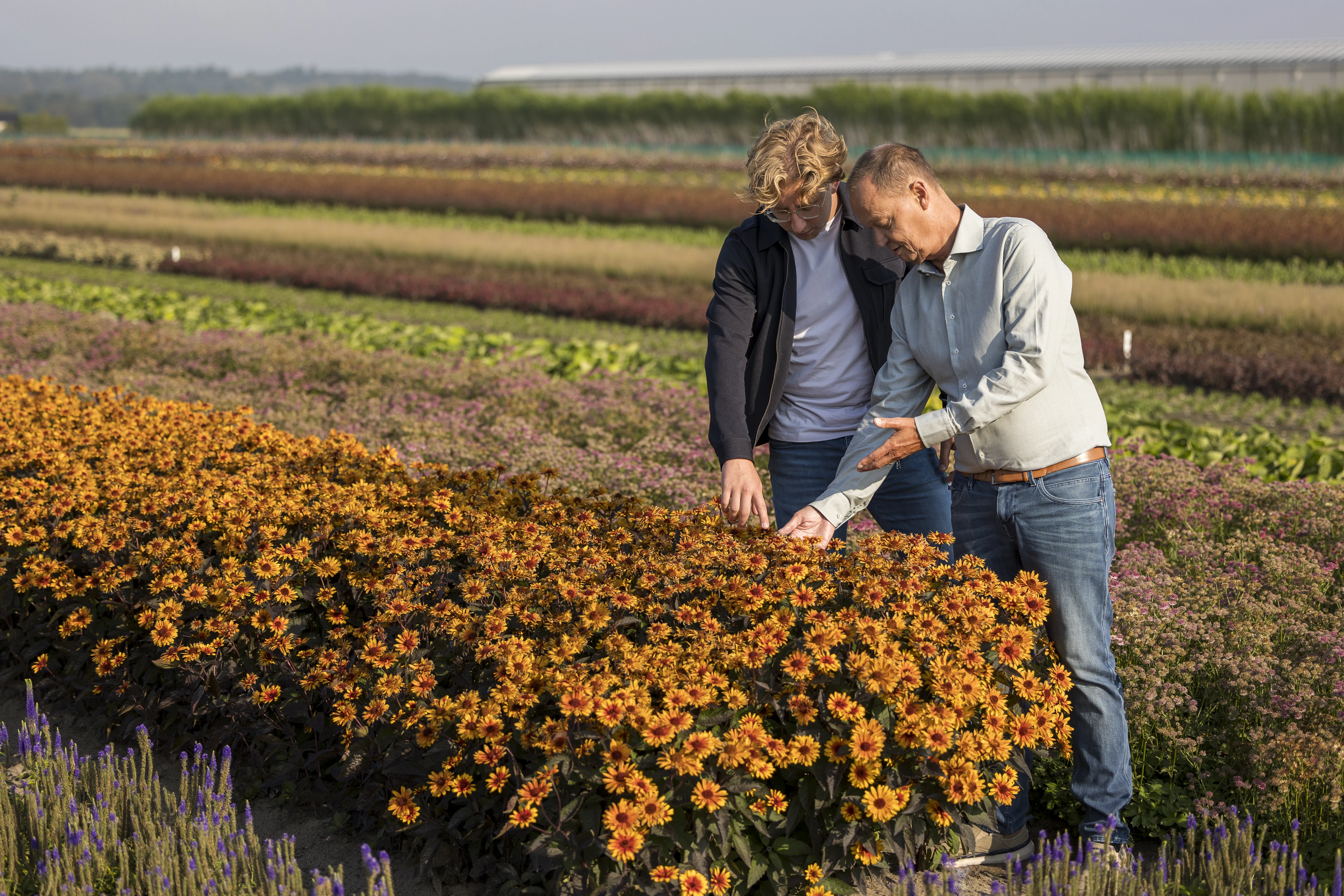 cnbnewplants